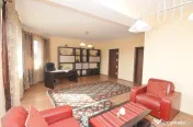 Vila Superba 6 Camere Stefanestii de Sus | Teren 784 mp 