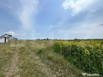 Parcele de 770 mp , drum privat 7m , zona rezidențială Moa