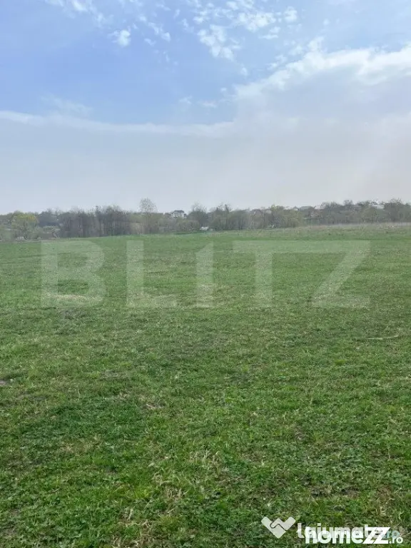 Teren intravilan, 5933mp, Horodnic de Jos, Radauti - Horodnic (Suceava)