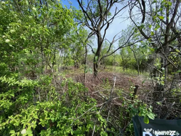 Teren zona Episcopiei - Zalau (Salaj)
