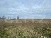 Teren extravilan agricol 5792 mp Popoveni