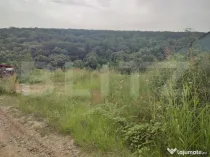Teren 2350 mp lângă pădure ,zona Leamna de Jos
