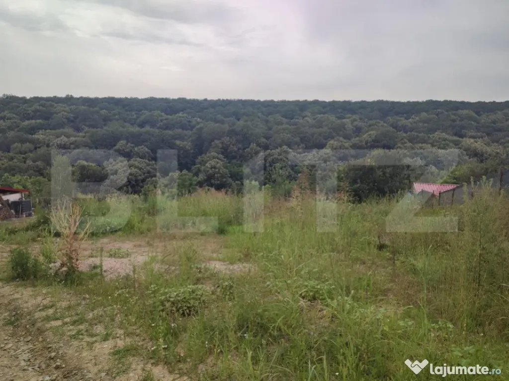 Teren 2350 mp lângă pădure ,zona Leamna de Jos