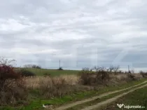 Teren intravilan 3.800 mp, zonă liniștită, Malu Mare