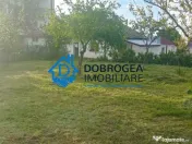 MAHMUDIA- CASA BATRANEASCA 4 CAMERE,TEREN 990 MP. 
