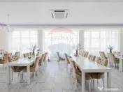 Hotel/Pensiune de vânzare cu 16 camere, Punct de Frontie... 