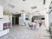 Hotel/Pensiune de vânzare cu 16 camere, Punct de Frontie... 