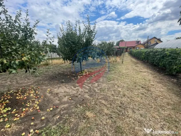 Casa in localitatea Zanoaga- Dolj