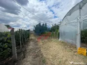 Casa in localitatea Zanoaga- Dolj 