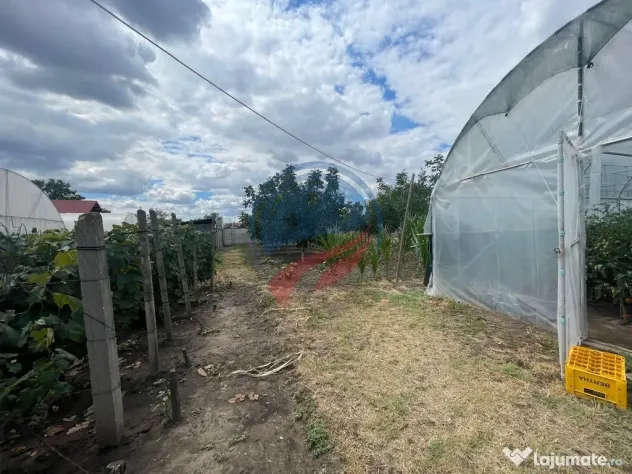 Casa in localitatea Zanoaga- Dolj