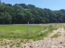 Grosi, zona Regal, 8+8 ari teren