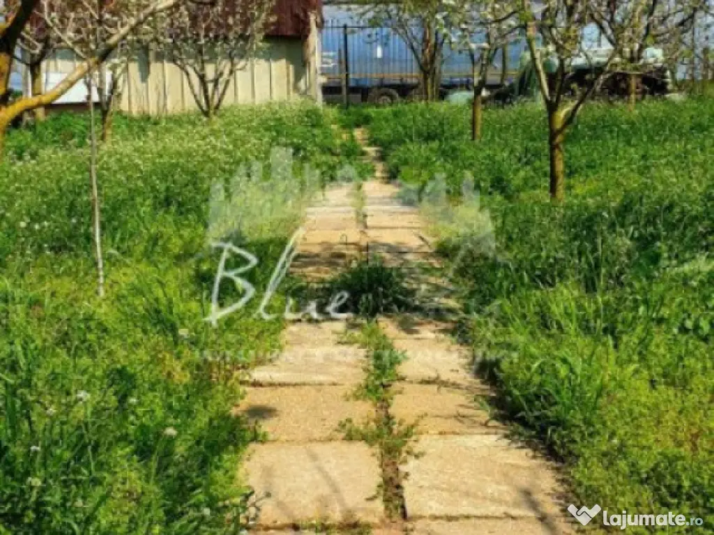 Casa cu teren 1200 mp situata in Localitatea Mihai Kogalnice