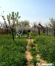 Casa cu teren 1200 mp situata in Localitatea Mihai Kogalnice 