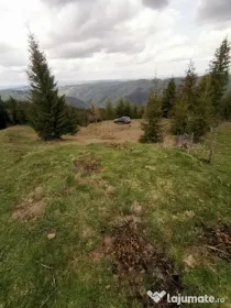 Teren 15841 mp,pret 8 €/mp Muntele Rece com. Maguri Racatau