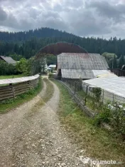Teren 6,865mp Voroneț / Gura Humorului / Bucovina 