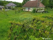 Casa cu teren De Vanzare in Ariesul de Padure 