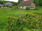 Casa cu teren De Vanzare in Ariesul de Padure 