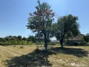 Casa cu teren De Vanzare in Ariesul de Padure 