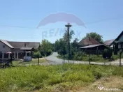 Casa cu teren De Vanzare in Ariesul de Padure 