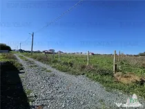 TEREN 500 MP COSTINESTI ZONA CASA BARINA