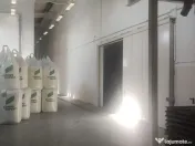 Hala Buftea DN 1A 1278 mp pe Teren 5000 mp Chilipir 