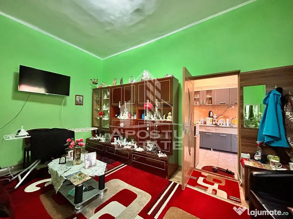 Apartament 2 camere, la curte comuna, pod mansardabil in zona Centrala - Timisoara (Timis)