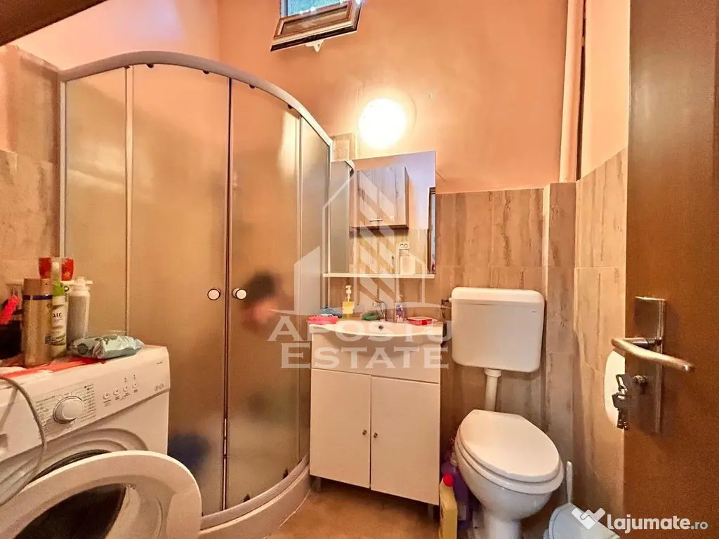 Apartament 2 camere, la curte comuna, pod mansardabil in zona Centrala - Timisoara (Timis)