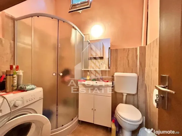 Apartament 2 camere, la curte comuna, pod mansardabil in zona Centrala - Timisoara (Timis)