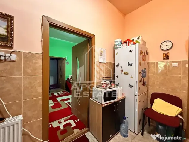Apartament 2 camere, la curte comuna, pod mansardabil in zona Centrala - Timisoara (Timis)