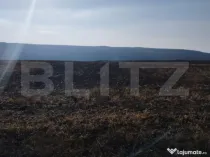 Teren 2,8 ha, langa Autostrada, utilitati aproape, Letcani