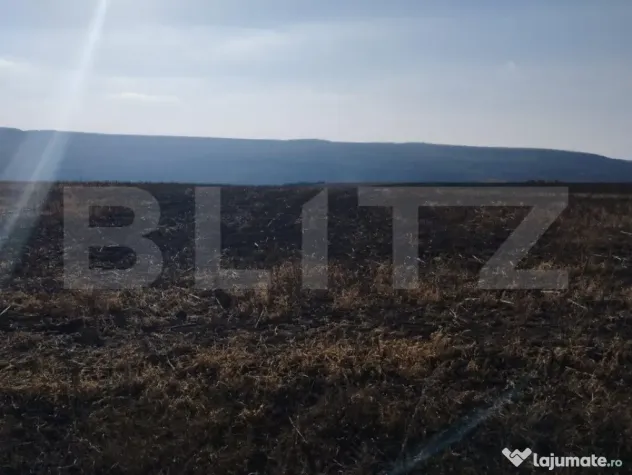 Teren 2,8 ha, langa Autostrada, utilitati aproape, Letcani