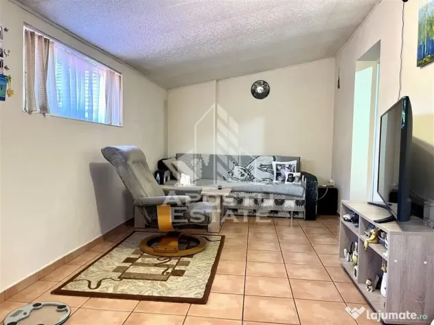 Casa individuala de vanzare situata in zona Sagului, Timisoara - Timisoara (Timis)