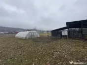 TEREN INTRAVILAN 2200 MP CAMPULUNG ARGES 