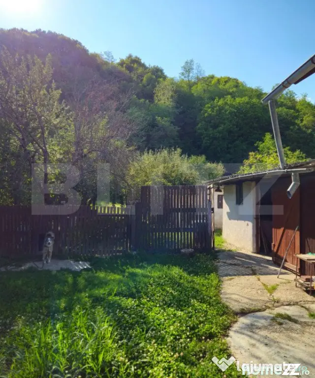 Casă spațioasă cu livadă, într-o zonă liniștiă la 2