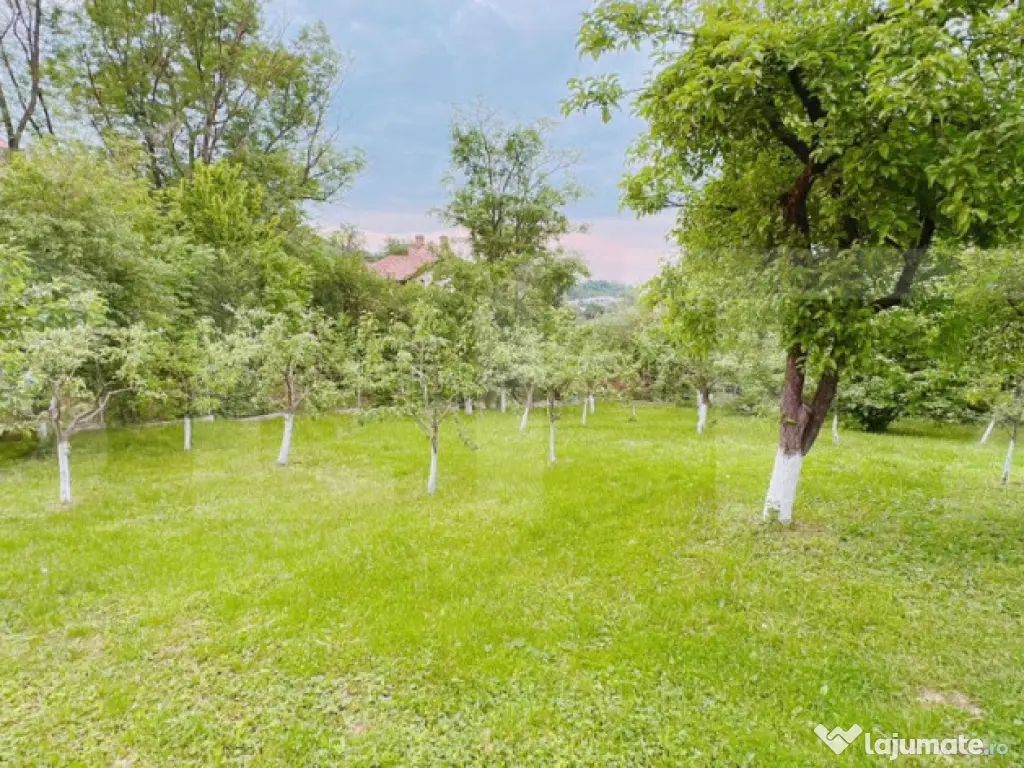 Casa in Moreni (exterior Vest) si 2000 mp de teren