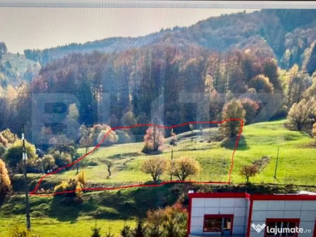 Teren intravilan, Bucșoaia - Frasin, 10000 mp