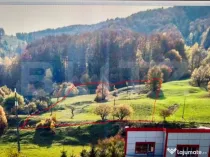 Teren intravilan, Bucșoaia - Frasin, 10000 mp