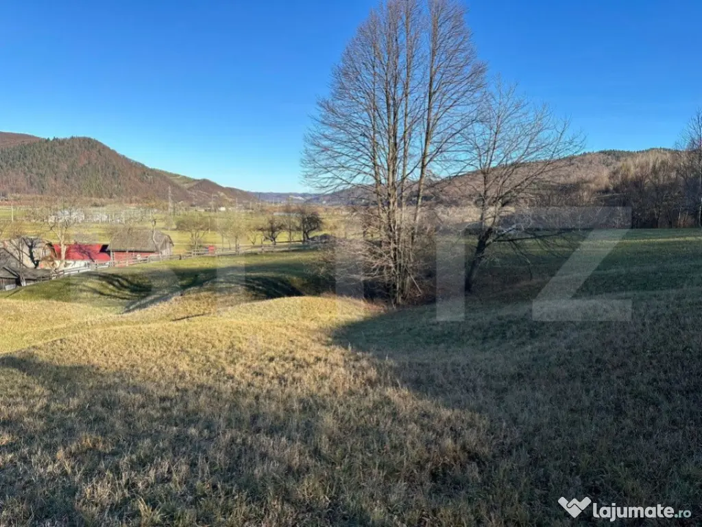 Teren intravilan, Bucșoaia - Frasin, 10000 mp