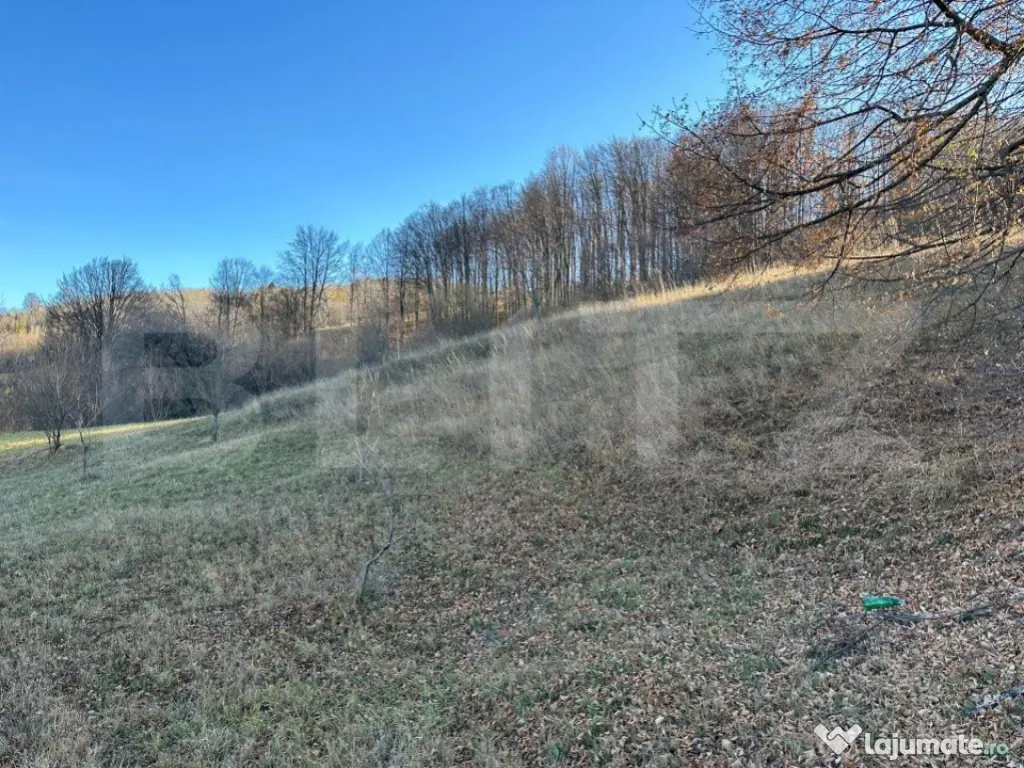 Teren intravilan, Bucșoaia - Frasin, 10000 mp