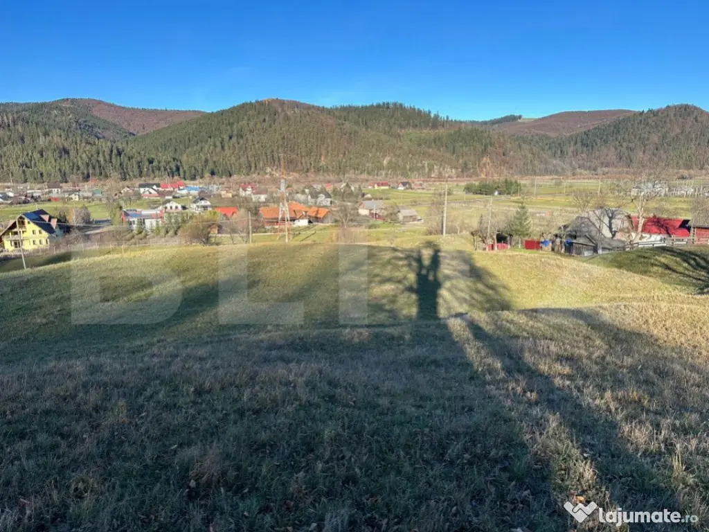 Teren intravilan, Bucșoaia - Frasin, 10000 mp