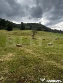 Teren intravilan, Bucșoaia - Frasin, 9000 mp