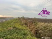 Teren pentru hale soseaua Nojorid Les 