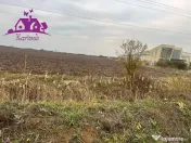 Teren pentru hale soseaua Nojorid Les 