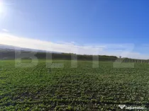 Teren 1.5 ha, 32 m deschidere, zona Vorovesti- Ferma Liliac