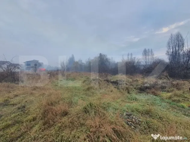 Teren intravilan 8 ari, toate utilitatile, zona Dedeman