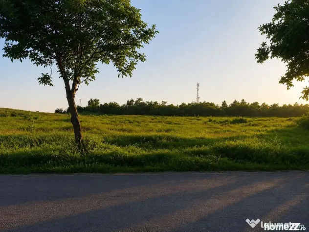 Vânzare teren intravilan – 9.500 mp, DN26 -Padurea Gar...