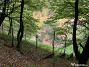 Vila Vetel zona Valea Caoi 