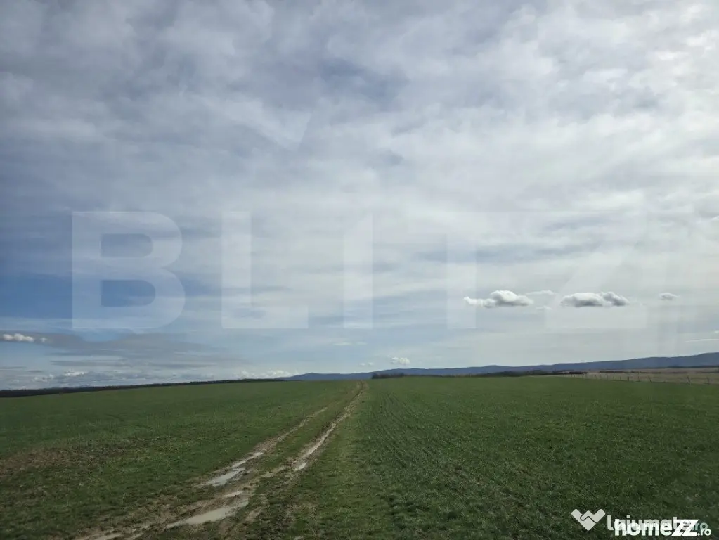 Tern extravilan 26,3974 ha, Ardud - Ardud (Satu-Mare)
