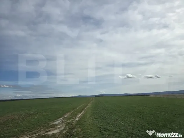 Tern extravilan 26,3974 ha, Ardud - Ardud (Satu-Mare)