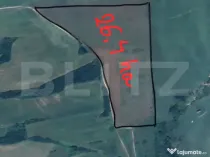 Tern extravilan 26,3974 ha, Ardud